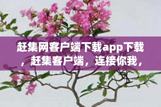 赶集网客户端下载app下载，赶集客户端，连接你我，便捷生活