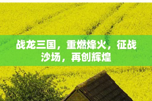 战龙三国图片