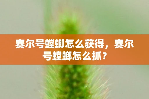 赛尔号螳螂怎么获得，赛尔号螳螂怎么抓？