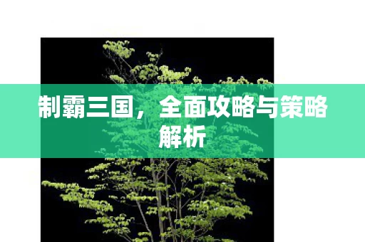 全面攻略与策略解析图片