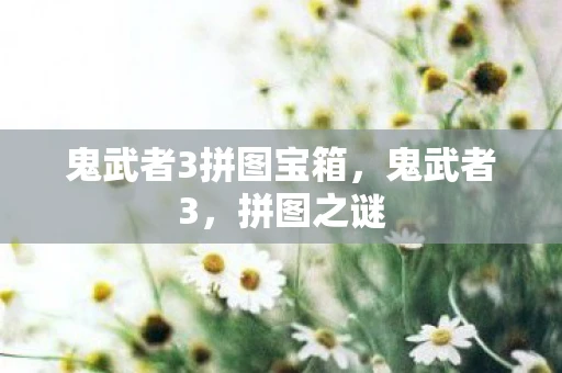鬼武者3拼图宝箱，鬼武者3，拼图之谜