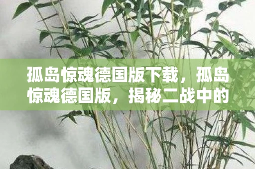 孤岛惊魂德国版下载，孤岛惊魂德国版，揭秘二战中的秘密任务