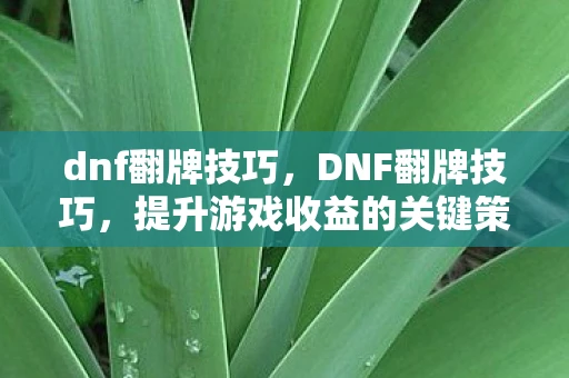 dnf翻牌技巧,DNF翻牌技巧,提升游戏收益的关键策略 dnf翻牌技巧,DNF翻牌技巧,提升游戏收益的关键策略