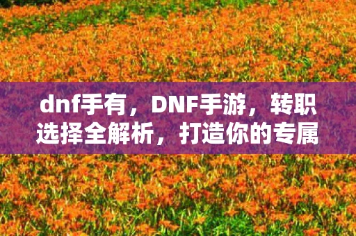 dnf手有，DNF手游，转职选择全解析，打造你的专属角色！
