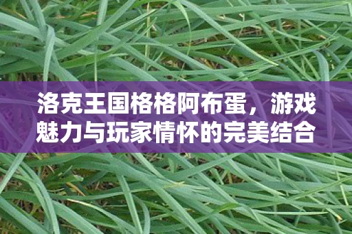 游戏魅力与玩家情怀的完美结合图片