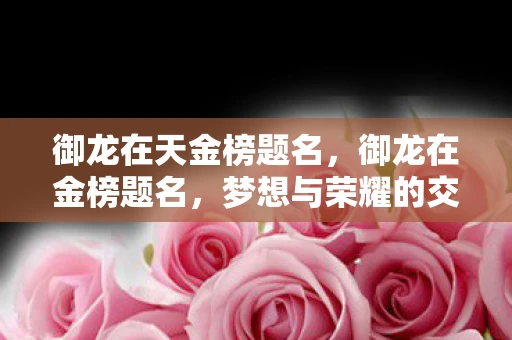 御龙在天金榜题名，御龙在金榜题名，梦想与荣耀的交响曲