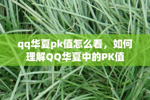 qq华夏pk值怎么看，如何理解QQ华夏中的PK值
