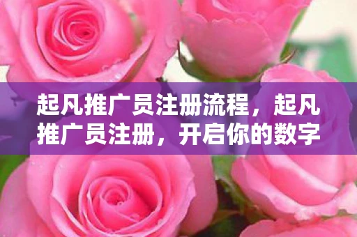 起凡推广员注册流程，起凡推广员注册，开启你的数字营销之旅