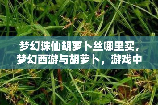 梦幻诛仙胡萝卜丝哪里买，梦幻西游与胡萝卜，游戏中的奇妙搭配