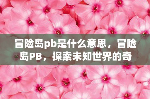 冒险岛pb是什么意思，冒险岛PB，探索未知世界的奇妙之旅