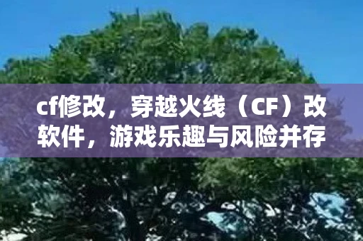 cf修改，穿越火线（CF）改软件，游戏乐趣与风险并存