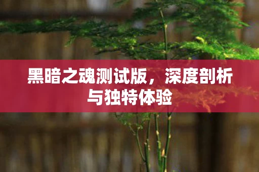 深度剖析与独特体验图片