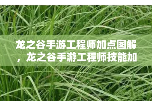 龙之谷手游工程师加点图解,龙之谷手游工程师技能加点攻略 龙之谷手游工程师加点图解,龙之谷手游工程师技能加点攻略