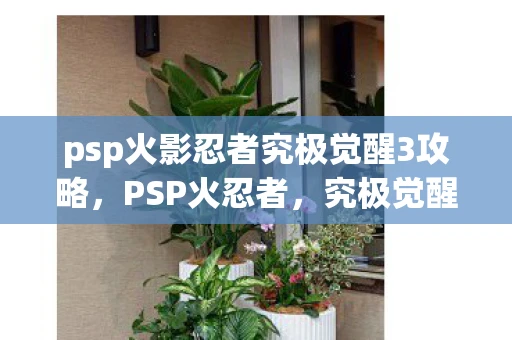 psp火影忍者究极觉醒3攻略，PSP火忍者，究极觉醒3攻略
