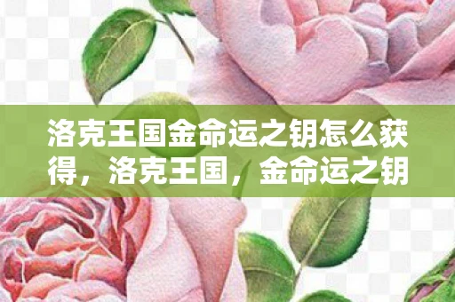 洛克王国金命运之钥怎么获得，洛克王国，金命运之钥的神秘之旅