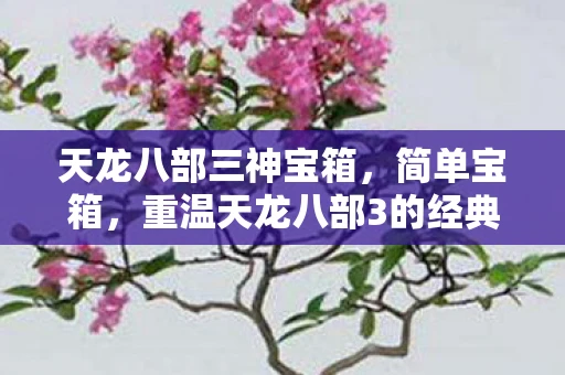 天龙八部三神宝箱，简单宝箱，重温天龙八部3的经典与情怀