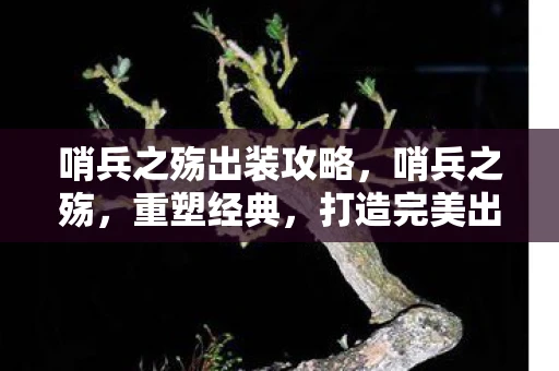 哨兵之殇出装攻略，哨兵之殇，重塑经典，打造完美出装