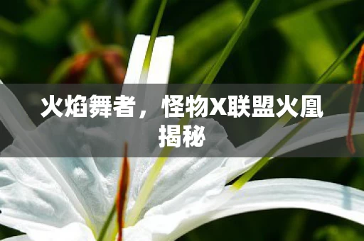 怪物X联盟火凰揭秘图片