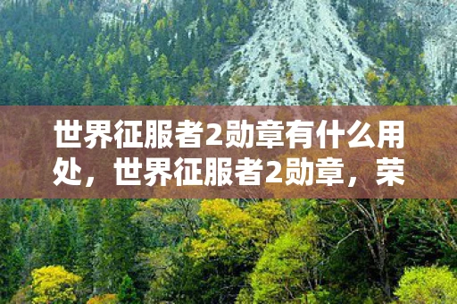 世界征服者2勋章有什么用处，世界征服者2勋章，荣耀与实力的象征