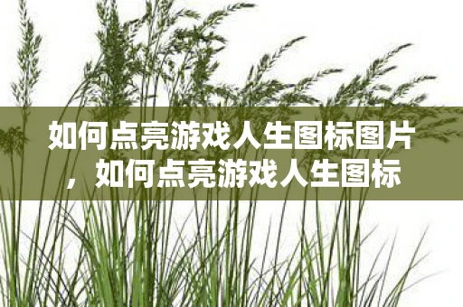 如何点亮游戏人生图标图片，如何点亮游戏人生图标