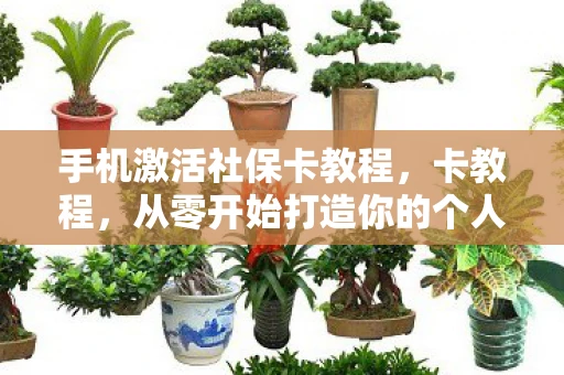 手机激活社保卡教程，卡教程，从零开始打造你的个人品牌