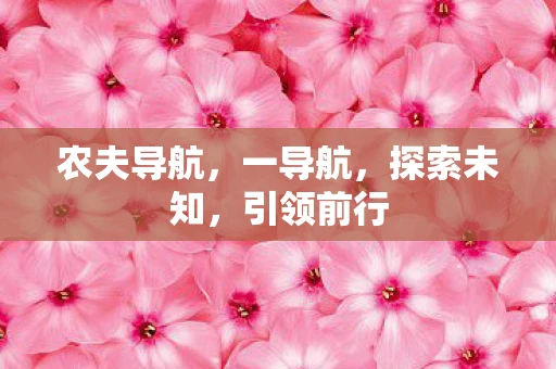 农夫导航，一导航，探索未知，引领前行