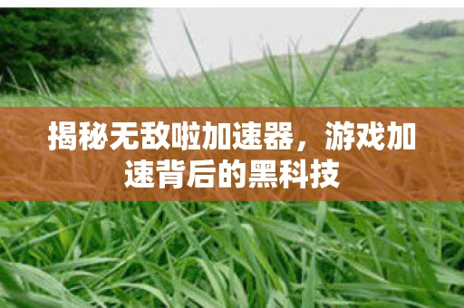揭秘无敌啦加速器,游戏加速背后的黑科技 揭秘无敌啦加速器,游戏加速背后的黑科技