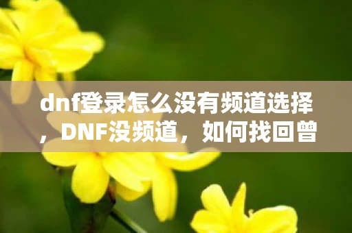 dnf登录怎么没有频道选择，DNF没频道，如何找回曾经的激情与乐趣