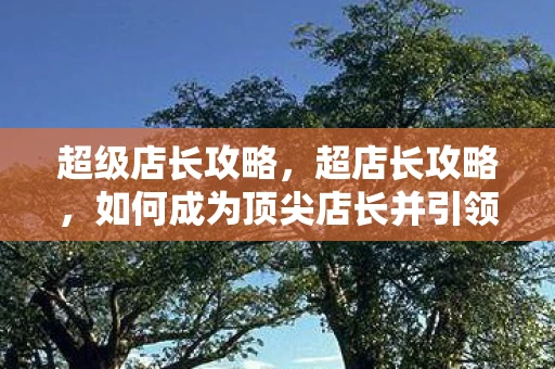 超级店长攻略，超店长攻略，如何成为顶尖店长并引领团队迈向成功