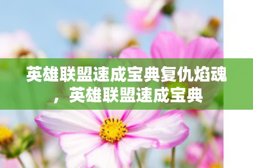 英雄联盟速成宝典复仇焰魂，英雄联盟速成宝典