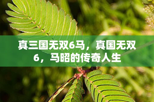 真三国无双6马,真国无双6,马昭的传奇人生 真三国无双6马,真国无双6,马昭的传奇人生