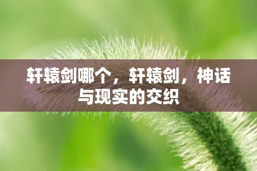 轩辕剑哪个,轩辕剑,神话与现实的交织 轩辕剑哪个,轩辕剑,神话与现实的交织