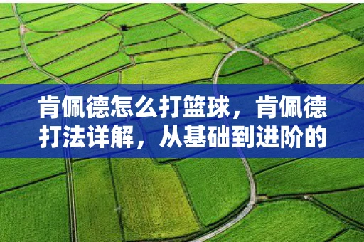 肯佩德怎么打篮球，肯佩德打法详解，从基础到进阶的全面攻略