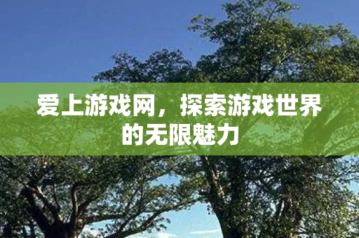 探索游戏世界的无限魅力图片