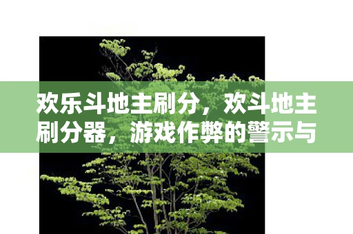 欢乐斗地主刷分，欢斗地主刷分器，游戏作弊的警示与反思