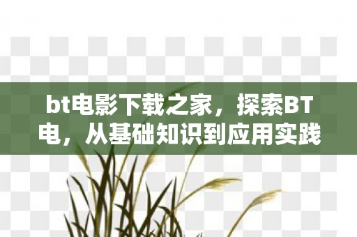 bt电影下载之家,探索BT电,从基础知识到应用实践的全面指南 bt电影下载之家,探索BT电,从基础知识到应用实践的全面指南