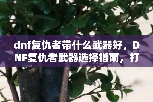 dnf复仇者带什么武器好,DNF复仇者武器选择指南,打造最强战斗力的关键 dnf复仇者带什么武器好,DNF复仇者武器选择指南,打造最强战斗力的关键