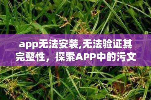 app无法安装,无法验证其完整性，探索APP中的污文化，从娱乐到社交的灰色地带