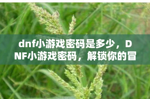 dnf小游戏密码是多少，DNF小游戏密码，解锁你的冒险之旅