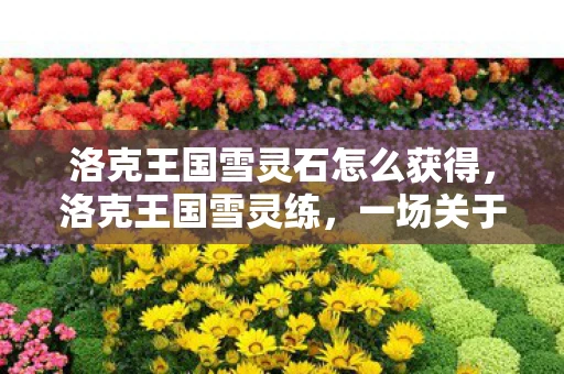 洛克王国雪灵石怎么获得，洛克王国雪灵练，一场关于魔法与勇气的冒险