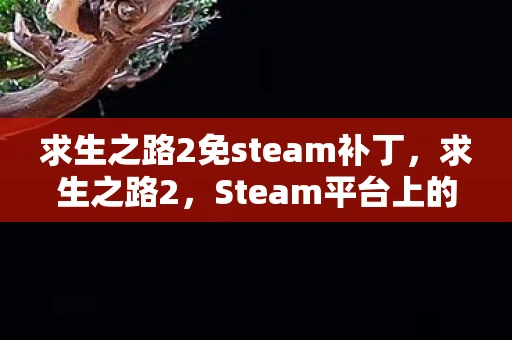求生之路2免steam补丁，求生之路2，Steam平台上的补丁与游戏优化指南