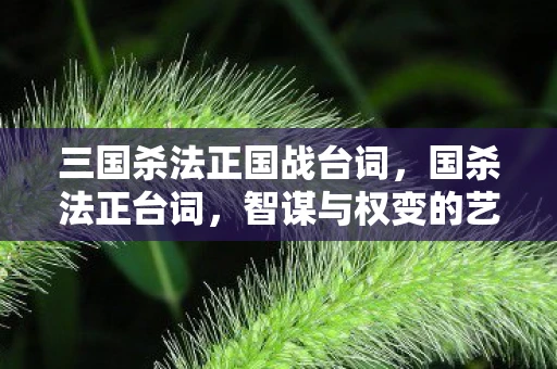 三国杀法正国战台词,国杀法正台词,智谋与权变的艺术 三国杀法正国战台词,国杀法正台词,智谋与权变的艺术