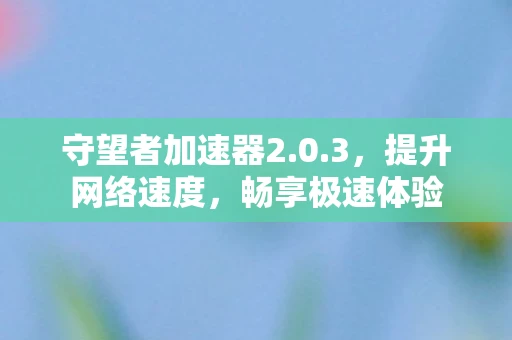 守望者加速器2.0.3，提升网络速度，畅享极速体验