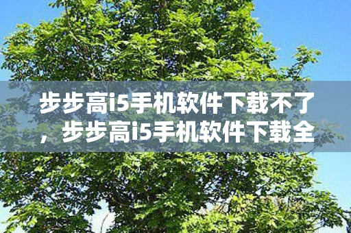 步步高i5手机软件下载不了,步步高i5手机软件下载全攻略 步步高i5手机软件下载不了,步步高i5手机软件下载全攻略