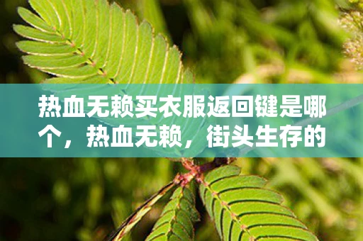 热血无赖买衣服返回键是哪个,热血无赖,街头生存的艺术 热血无赖买衣服返回键是哪个,热血无赖,街头生存的艺术