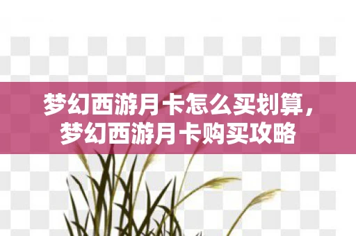 梦幻西游月卡怎么买划算,梦幻西游月卡购买攻略 梦幻西游月卡怎么买划算,梦幻西游月卡购买攻略