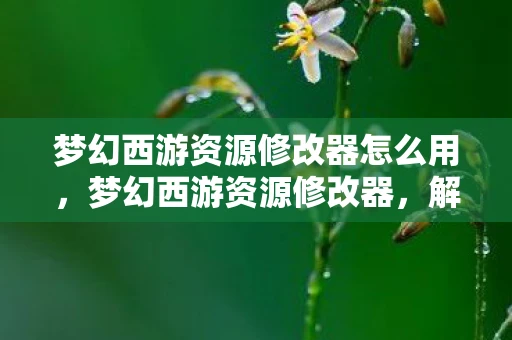 梦幻西游资源修改器怎么用，梦幻西游资源修改器，解锁游戏新世界的钥匙？