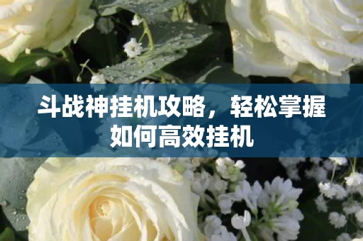 轻松掌握如何高效挂机图片