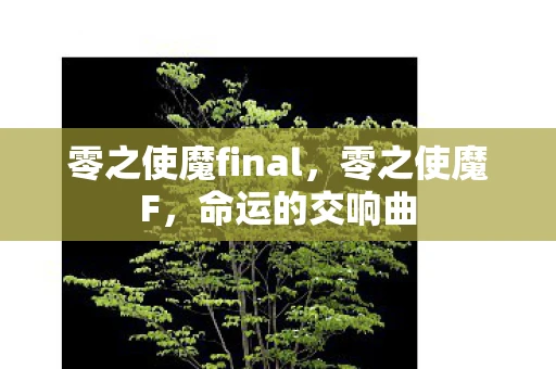 零之使魔final，零之使魔F，命运的交响曲