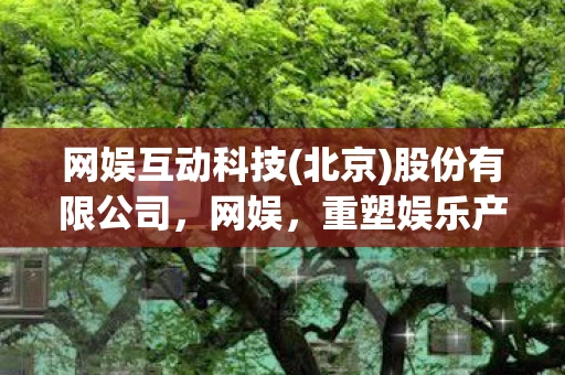 网娱互动科技(北京)股份有限公司，网娱，重塑娱乐产业的未来
